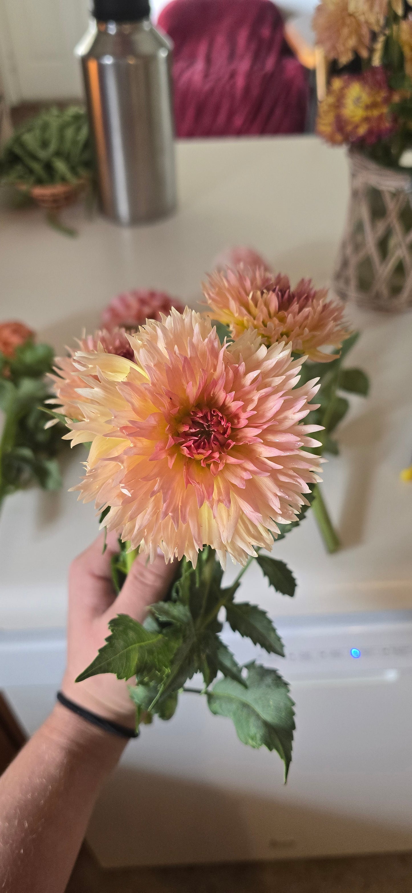 Lakeview Peach Fuzz