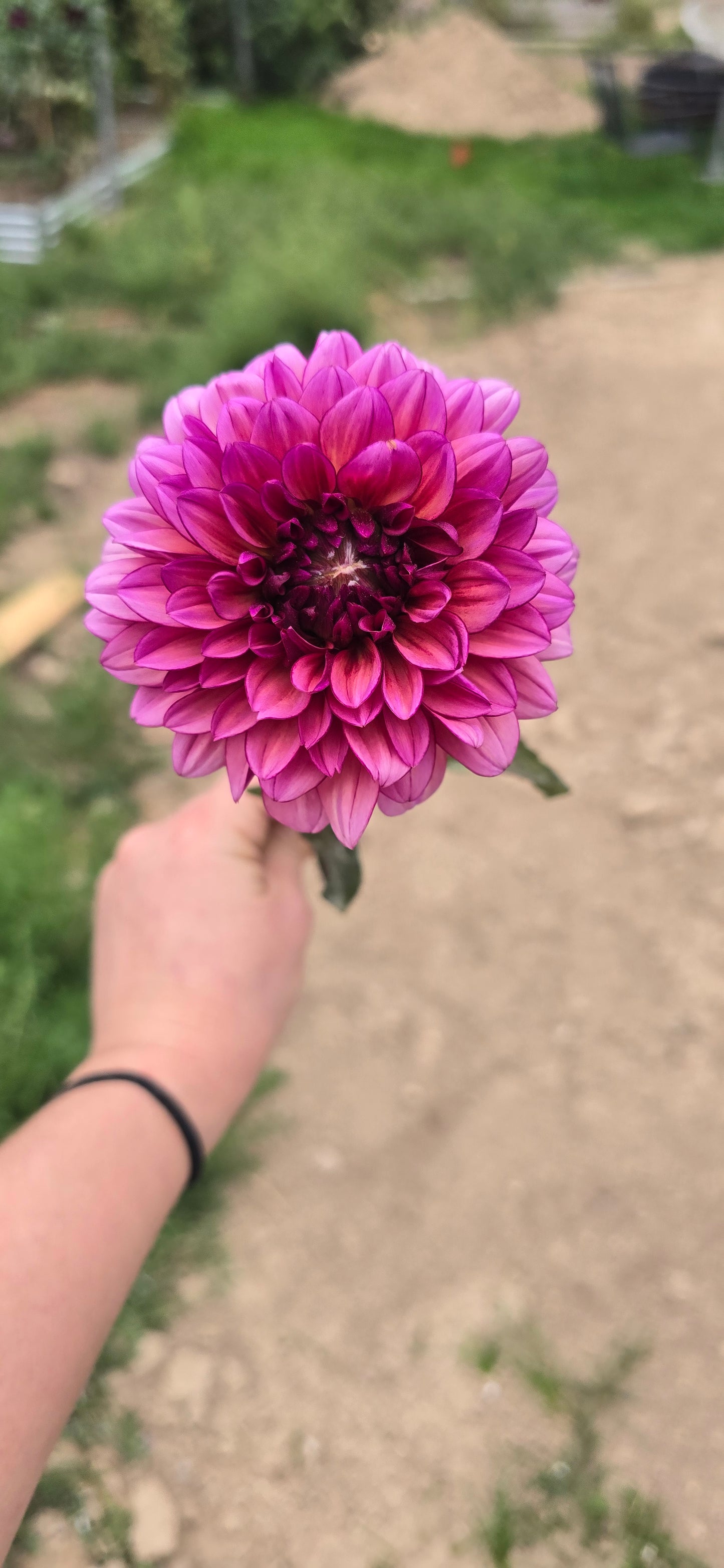 Molly Raven