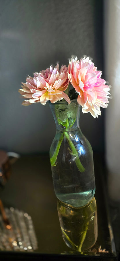 Joel's Favourite